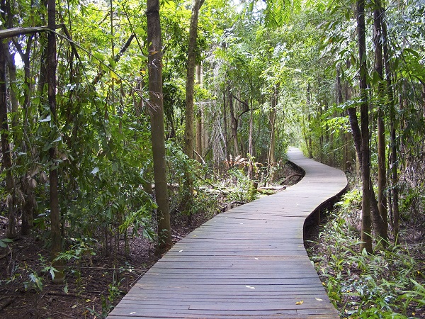 深圳晶振廠家